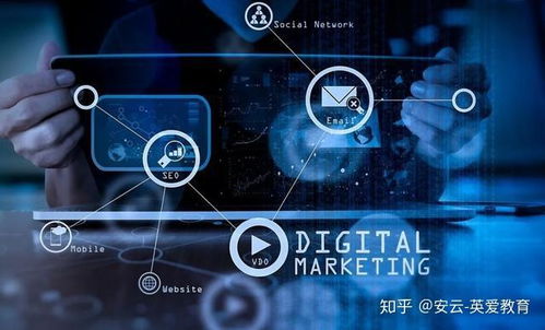 国外大学数字营销专业 课程内容与互联网信息服务实践